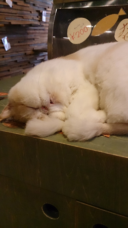 20140910-0910-8.jpg