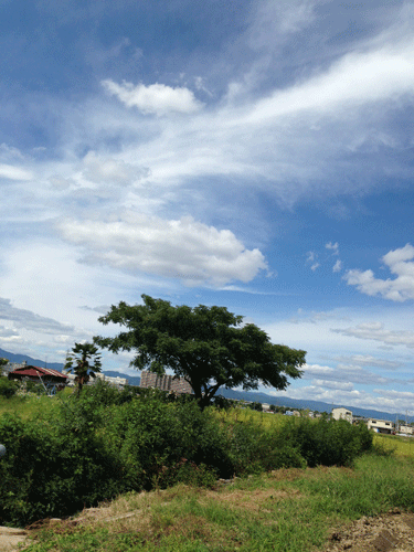 20140913-ishida-ki.gif