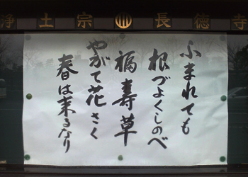 080207