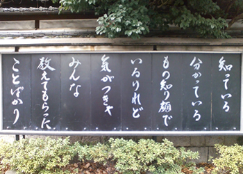 080217