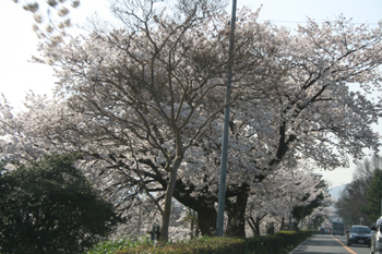 080407b