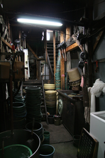 20080509-06.JPG