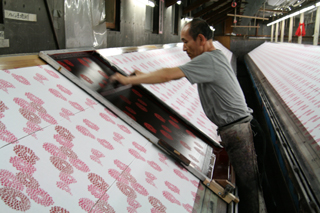 20080509-09.JPG