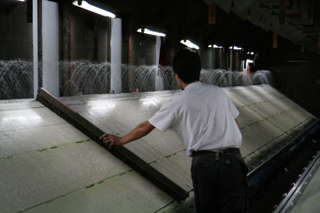20080509-14.JPG