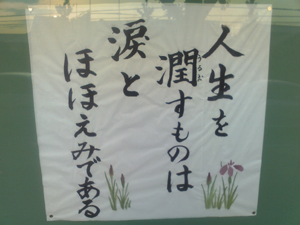 20080524-080525.jpg
