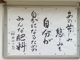 20080701-080701.jpg