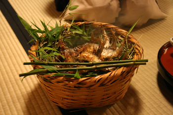 20080704-080704a.jpg