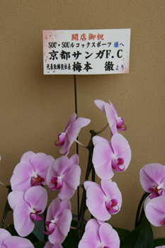 20080707-080707d.jpg