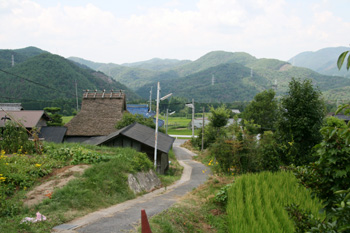 20080813-080814b.jpg