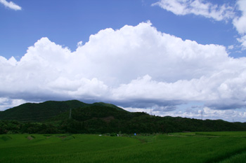 20080813-080814d.jpg