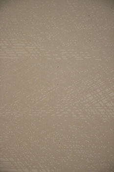 20081003-w_1004c.jpg