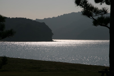 20081017-1017c.jpg 20081017-1017c.jpg
