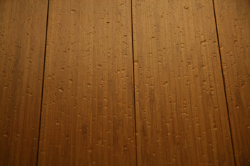 20081023-1023a.jpg