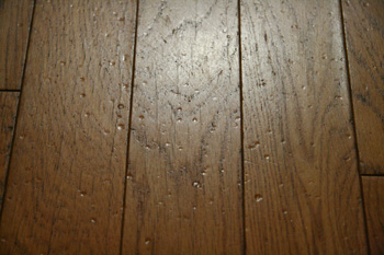 20081023-1023c.jpg