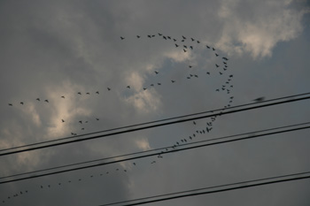 20081225-01.jpg