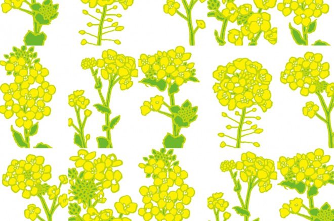 菜花ページ 菜花🌻 (@819_aka1205) / Posts / X