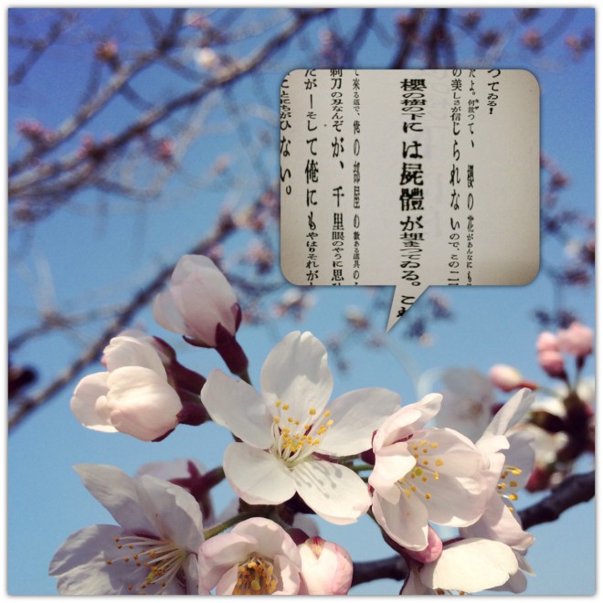 Processed with MOLDIV