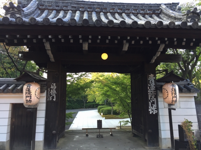 seimon