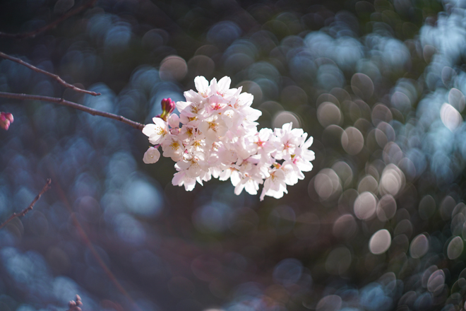 20160327-DSC07024