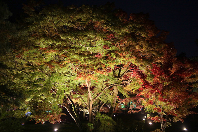 20161117-image-2