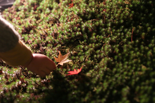 20161117-image-4