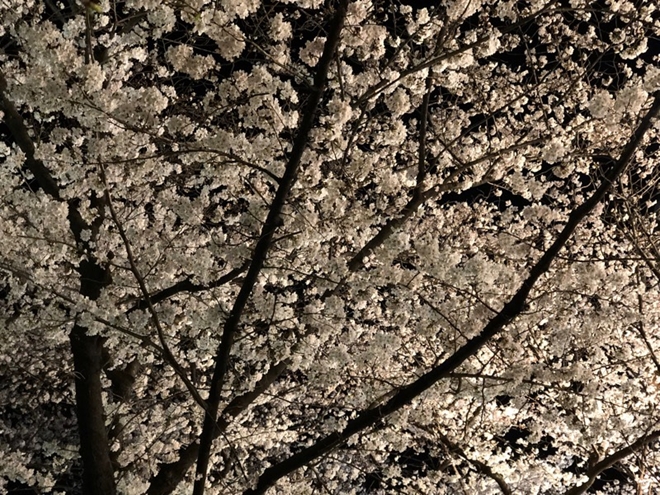 ９