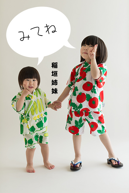 inagaki_sis