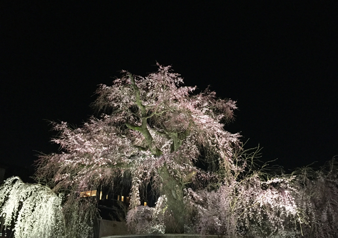 maruyama1