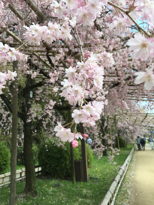 nakaraginomiti
