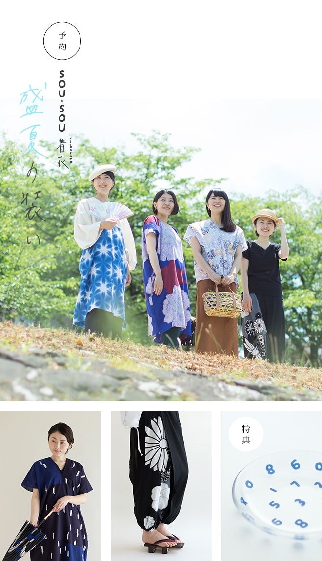 170601_seika_hp