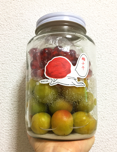 ume1