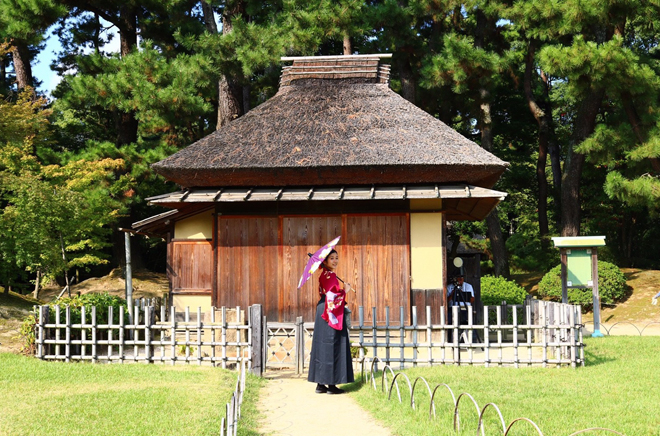 tsubaki4