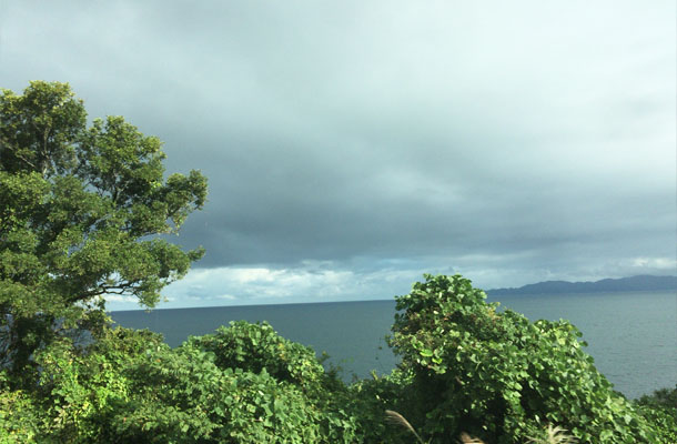海