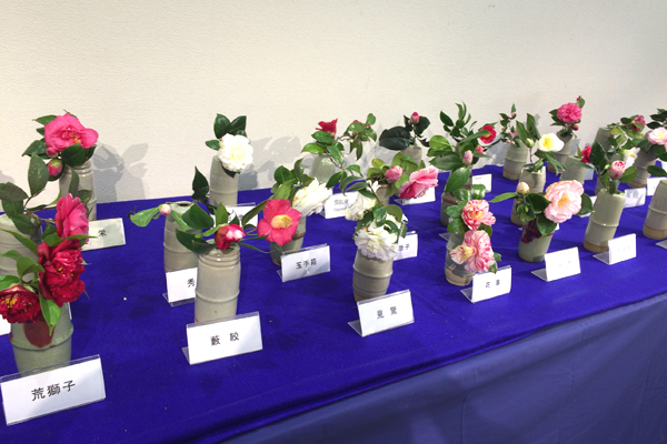 京都植物園１