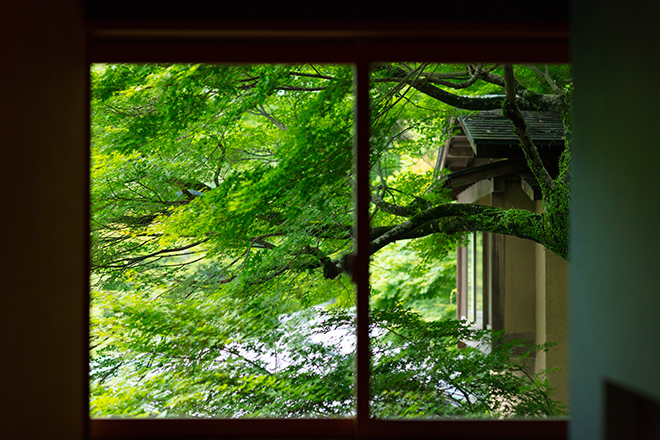 20180615-0H1A5280