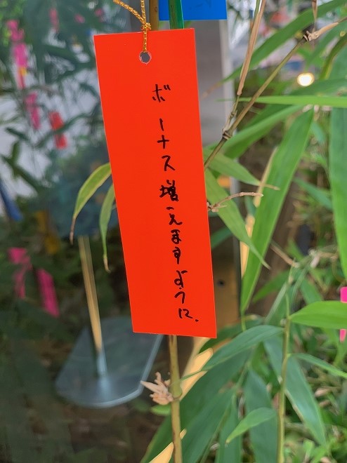 bonasu