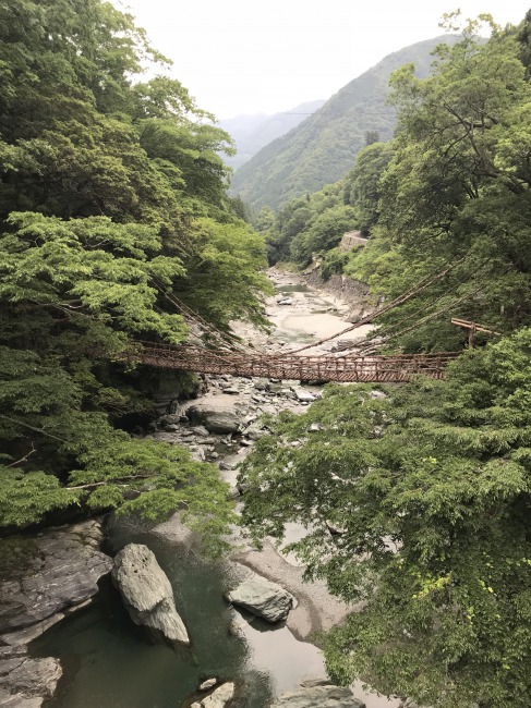s_IMG_5248