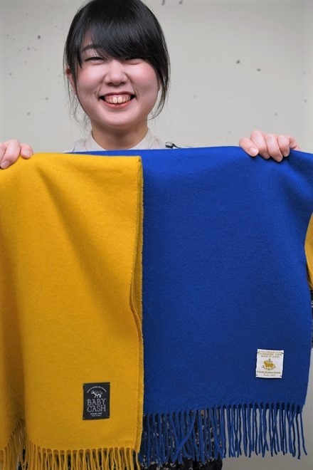 31※無し