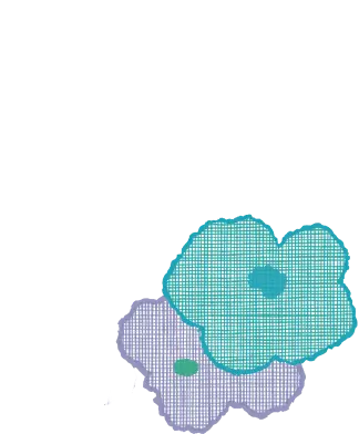 SOUSOU 冬のよそおい