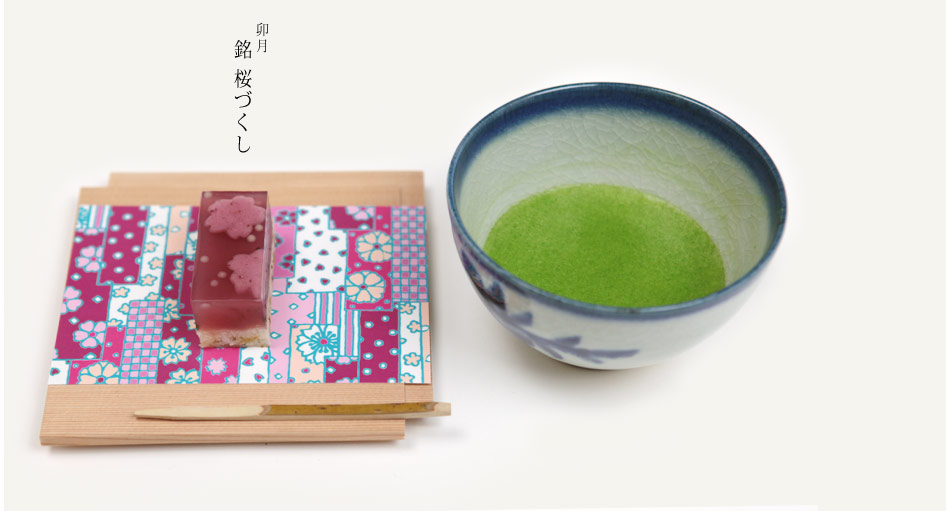 卯月　銘　桜づくし